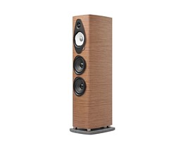 Sonus faber　Sonetto V G2