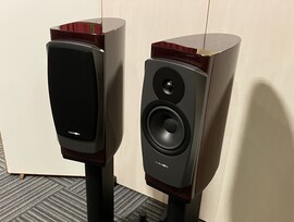 DYNAUDIO　CONFIDENCE20ﾍﾟｱ【中古品】