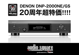 【20周年超特価】DENON DNP-2000NE/GS